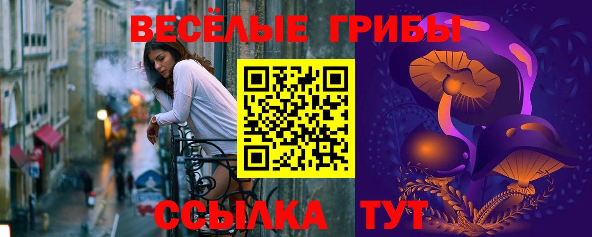 Галлюциногенные грибы Psilocybine cubensis  Псилоцибиновые грибы Magic Shrooms  Вход с VPN  Новотроицк 