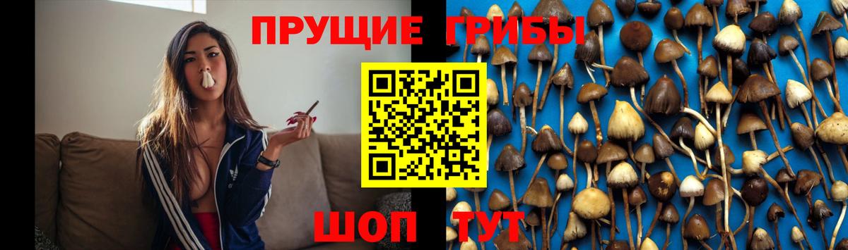 Псилоцибиновые грибы прущие грибы Новотроицк